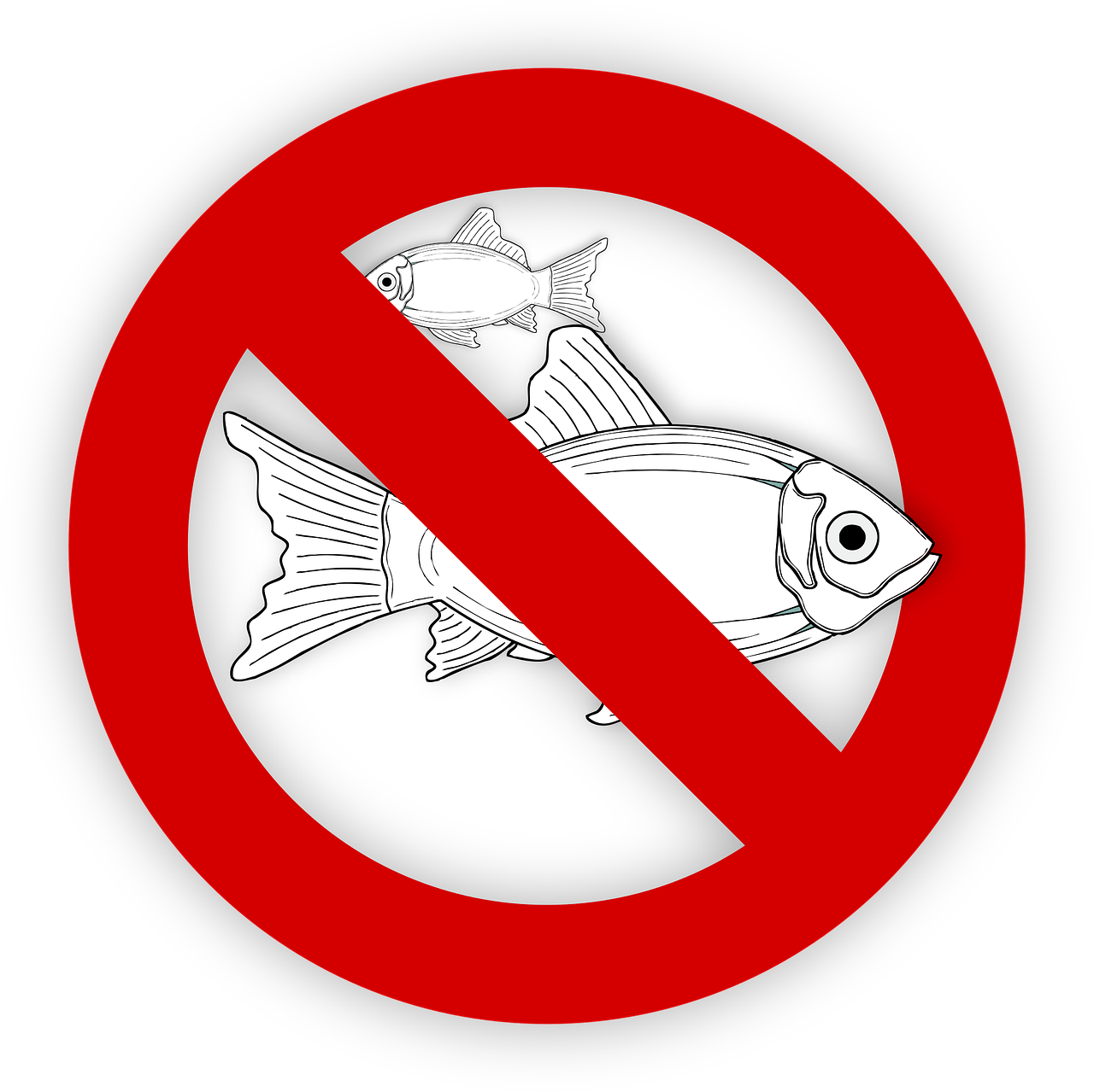 pixabay-995050-37.png